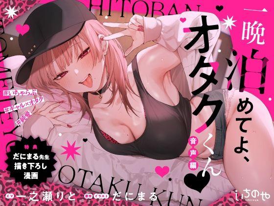 【エロ同人】一晩泊めてよ、オタクくん 音声編 未分類
