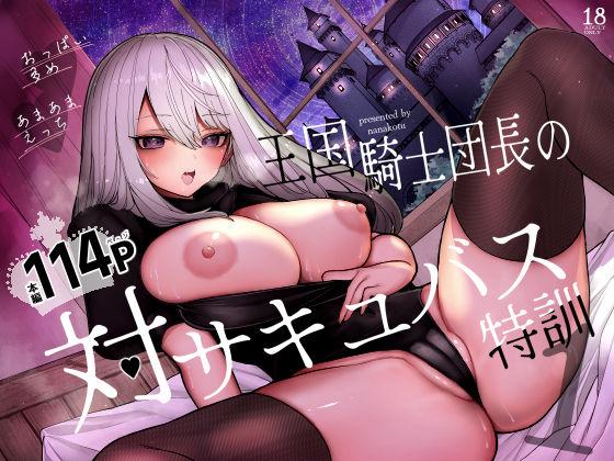 【エロ同人】王国騎士団長の対サキュバス特訓1 表紙の画像